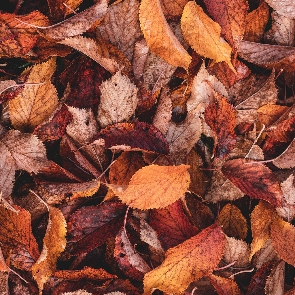 Why Washing Your Face Should Be Like "Raking the Leaves"